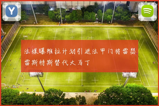 法媒曝维拉计划引进法甲门将雷瑟雷斯特斯替代大马丁